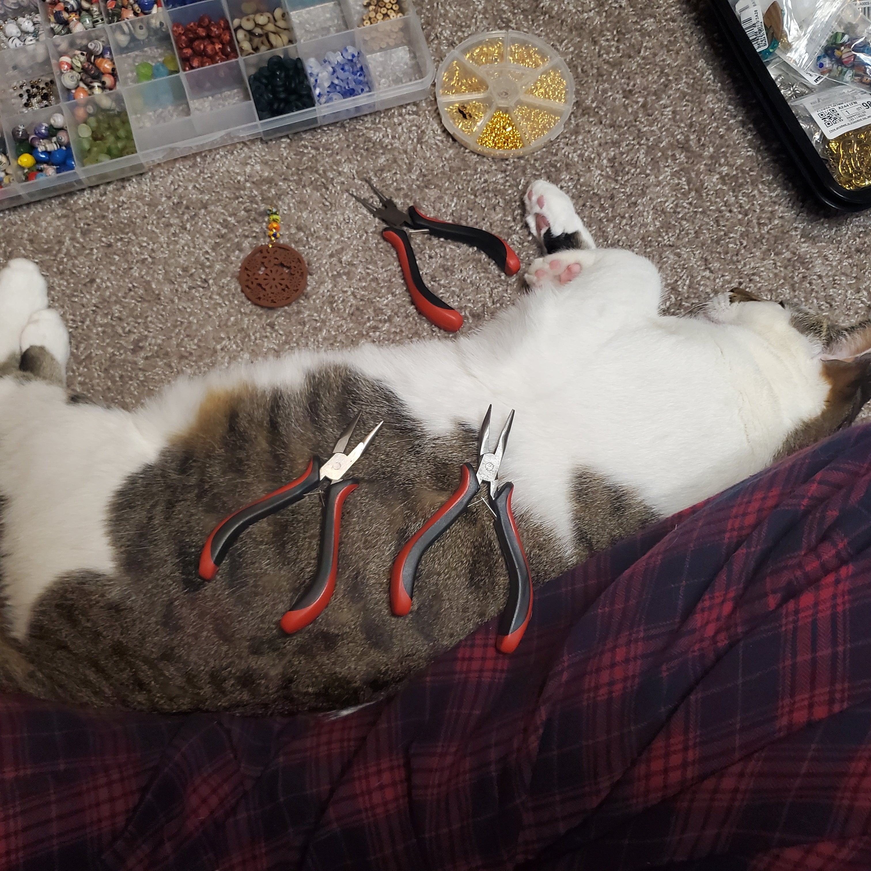 My Work Station - Meet Jack Jack